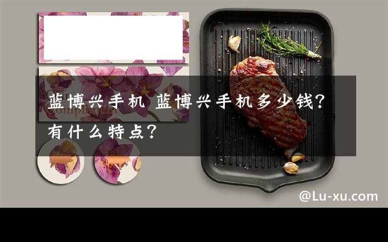 蓝博兴手机 蓝博兴手机多少钱?有什么特点?