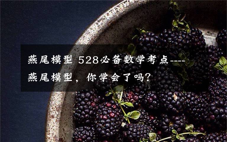 燕尾模型 528必备数学考点----燕尾模型,你学会了吗?