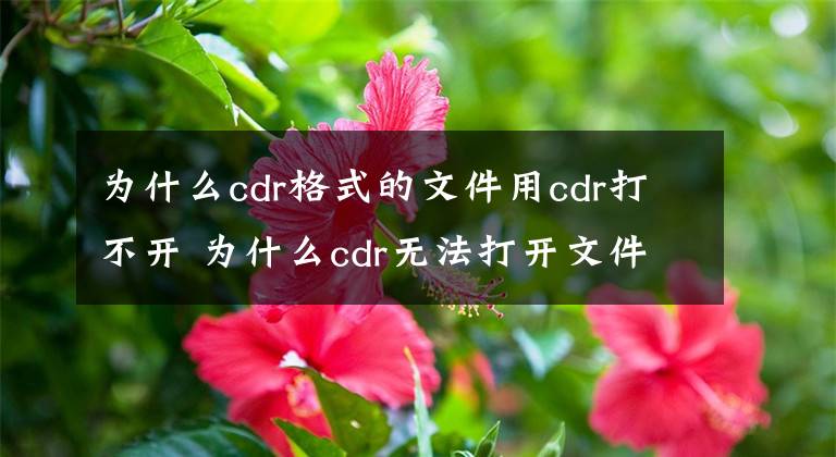 为什么cdr格式的文件用cdr打不开 为什么cdr无法打开文件