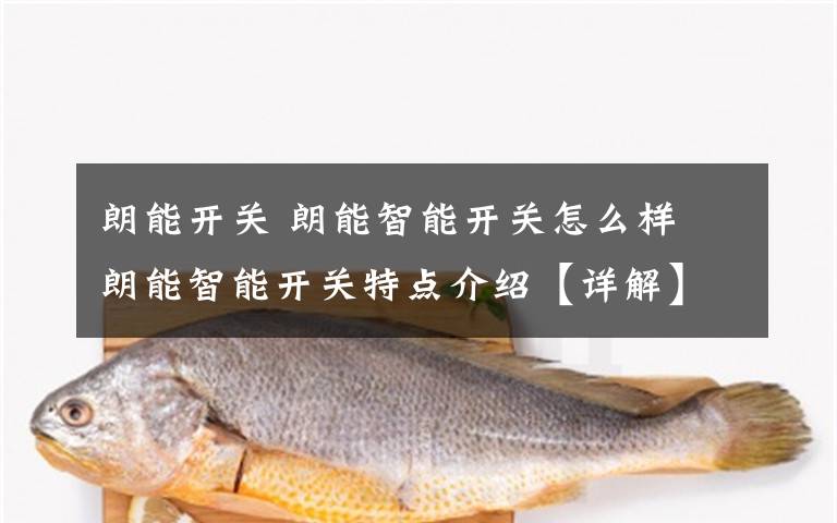 朗能开关 朗能智能开关怎么样 朗能智能开关特点介绍【详解】