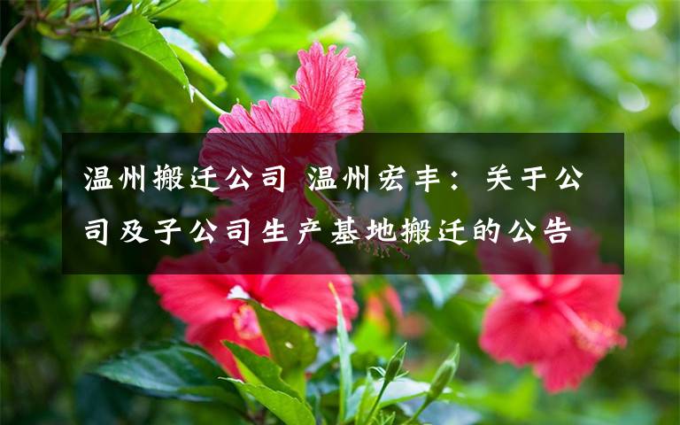 温州搬迁公司 温州宏丰:关于公司及子公司生产基地搬迁的公告