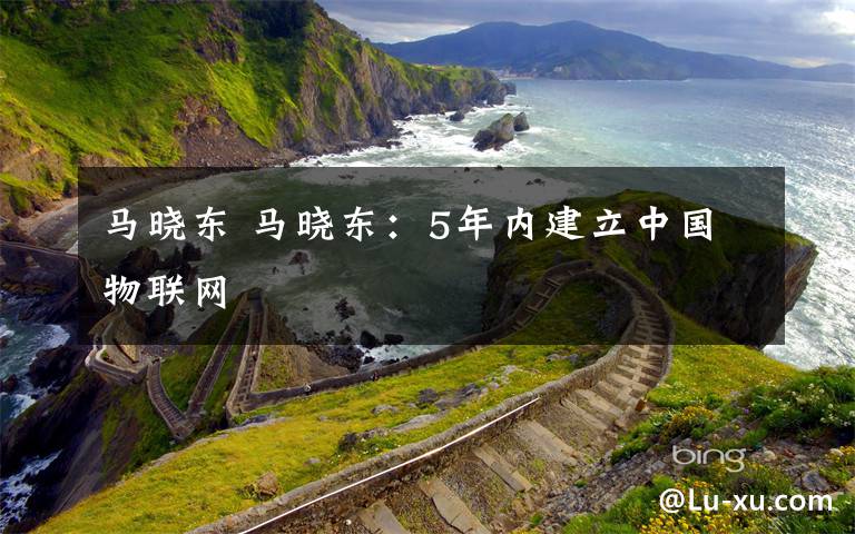 马晓东 马晓东:5年内建立中国物联网