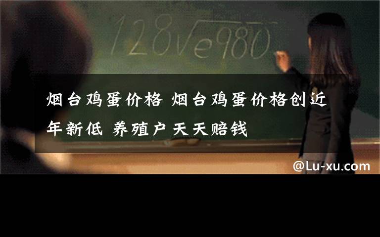烟台鸡蛋价格 烟台鸡蛋价格创近年新低 养殖户天天赔钱