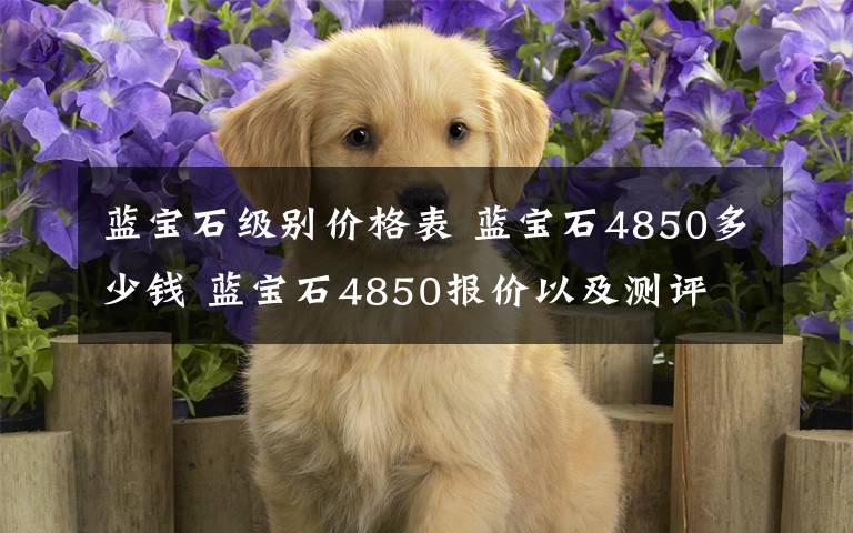 蓝宝石级别价格表 蓝宝石4850多少钱 蓝宝石4850报价以及测评