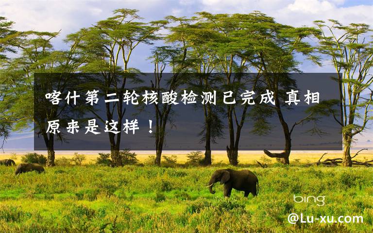 喀什第二轮核酸检测已完成 真相原来是这样!