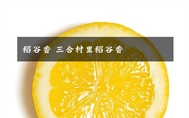 稻谷香 三合村里稻谷香