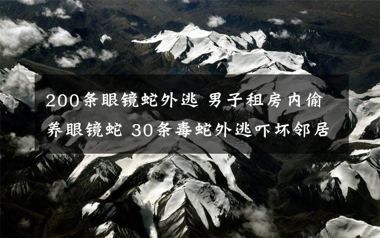 200条眼镜蛇外逃 男子租房内偷养眼镜蛇 30条毒蛇外逃吓坏邻居