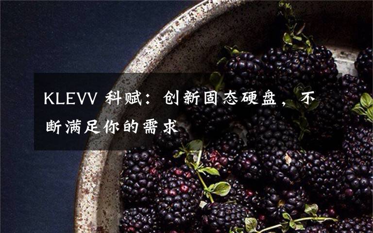 KLEVV 科赋:创新固态硬盘,不断满足你的需求