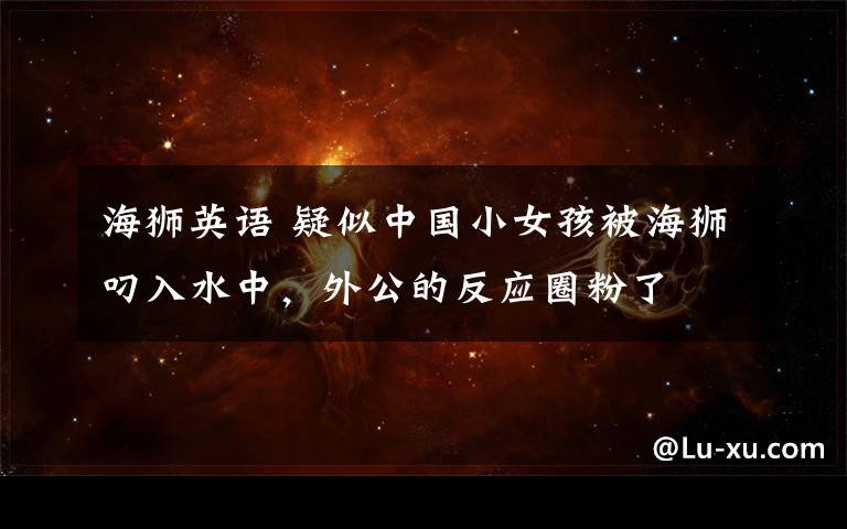 海狮英语 疑似中国小女孩被海狮叼入水中,外公的反应圈粉了