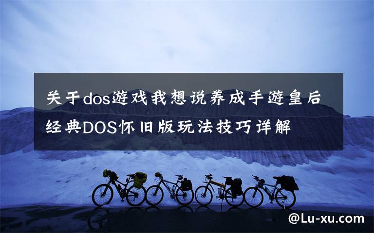关于dos游戏我想说养成手游皇后经典DOS怀旧版玩法技巧详解