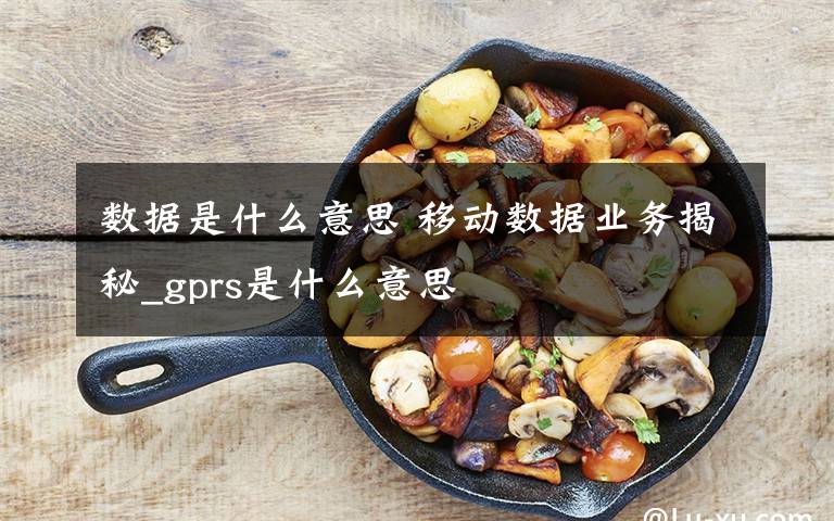 数据是什么意思 移动数据业务揭秘_gprs是什么意思
