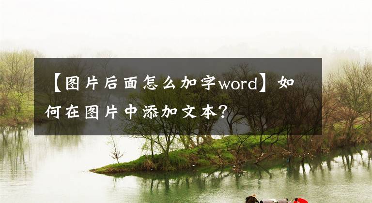 【图片后面怎么加字word】如何在图片中添加文本?