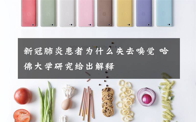 新冠肺炎患者为什么失去嗅觉 哈佛大学研究给出解释