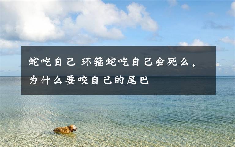 蛇吃自己 环箍蛇吃自己会死么,为什么要咬自己的尾巴