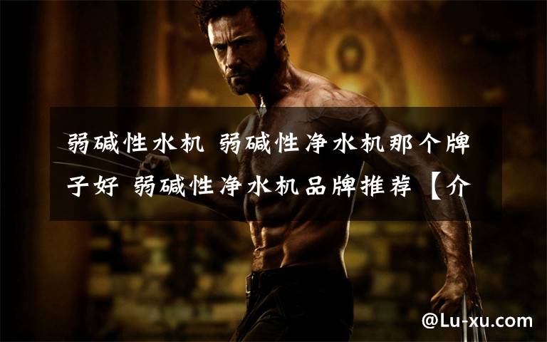 弱碱性水机 弱碱性净水机那个牌子好 弱碱性净水机品牌推荐【介绍】