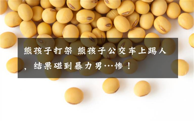 熊孩子打架 熊孩子公交车上踢人,结果碰到暴力男…惨!