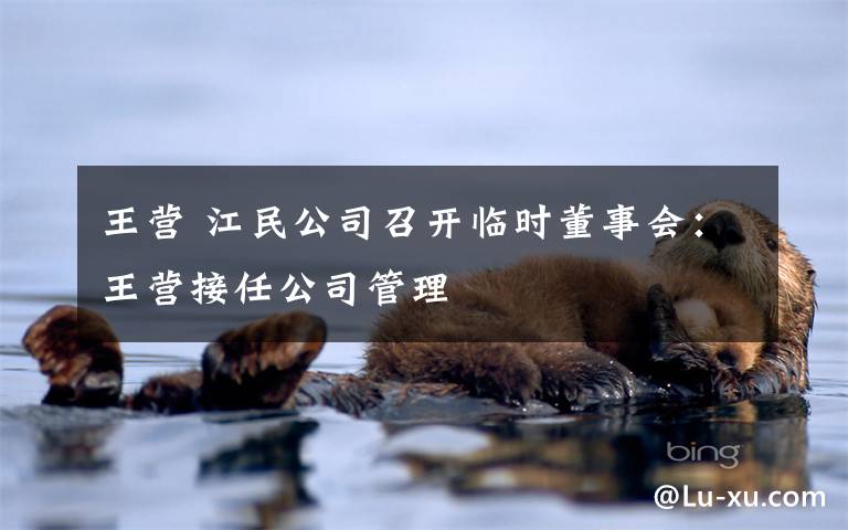 王营 江民公司召开临时董事会:王营接任公司管理