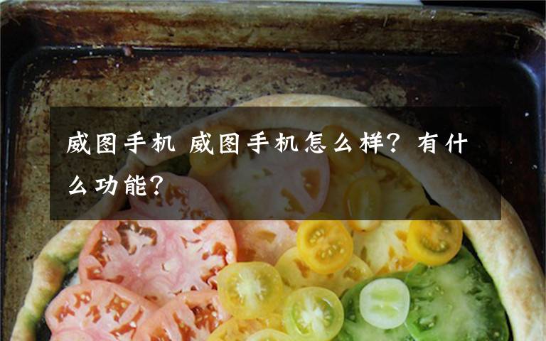 威图手机 威图手机怎么样?有什么功能?