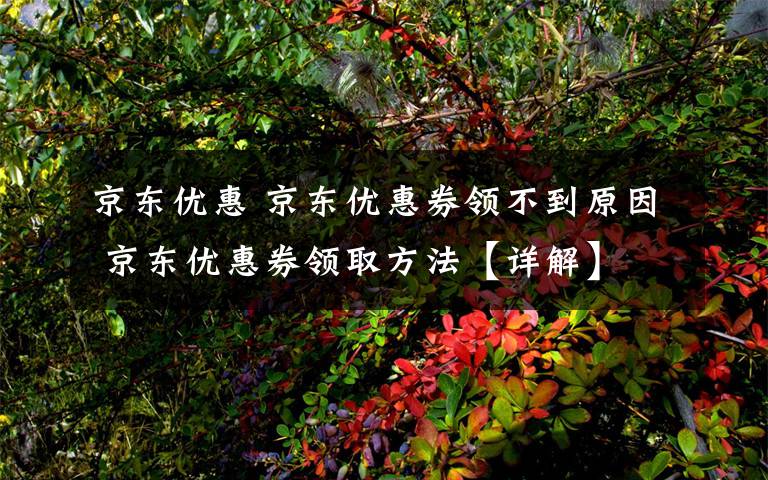 京东优惠 京东优惠券领不到原因 京东优惠券领取方法【详解】