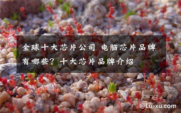 全球十大芯片公司 电脑芯片品牌有哪些?十大芯片品牌介绍