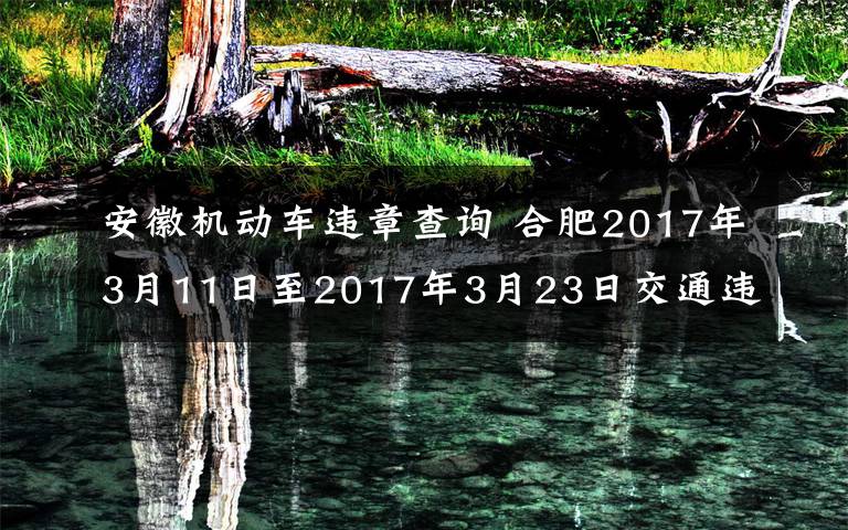 安徽机动车违章查询 合肥2017年3月11日至2017年3月23日交通违章查询