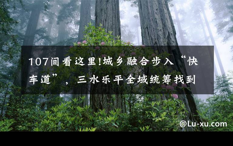 107间看这里!城乡融合步入“快车道”,三水乐平全域统筹找到突破口