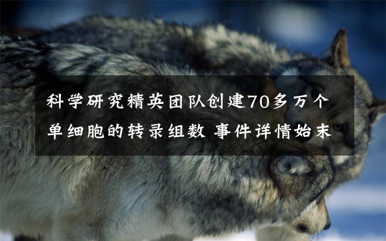 科学研究精英团队创建70多万个单细胞的转录组数 事件详情始末介绍！