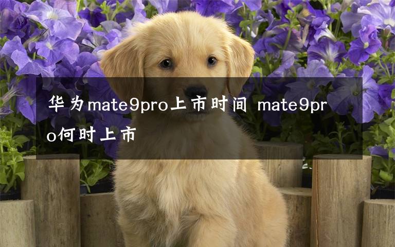 华为mate9pro上市时间 mate9pro何时上市