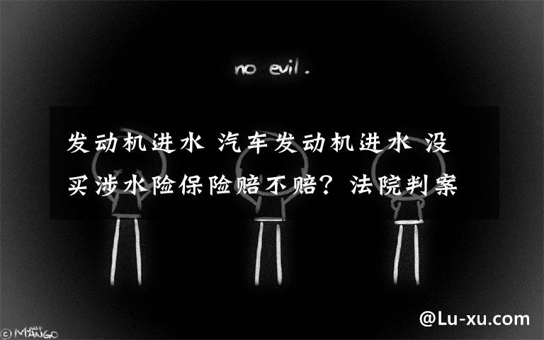 发动机进水 汽车发动机进水 没买涉水险保险赔不赔?法院判案:要赔