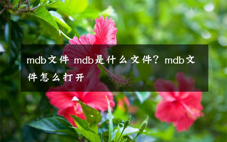 mdb文件 mdb是什么文件?mdb文件怎么打开