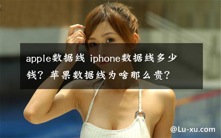 apple数据线 iphone数据线多少钱?苹果数据线为啥那么贵?