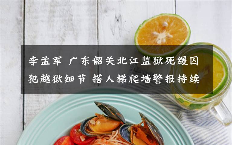 李孟军 广东韶关北江监狱死缓囚犯越狱细节 搭人梯爬墙警报持续近1小时