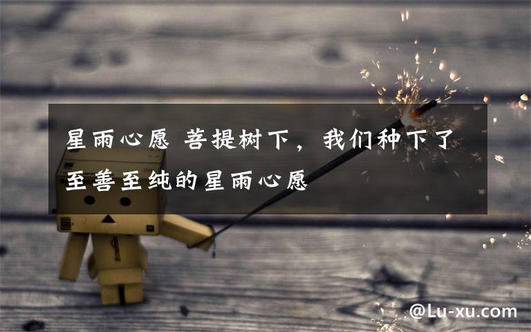 星雨心愿 菩提树下,我们种下了至善至纯的星雨心愿
