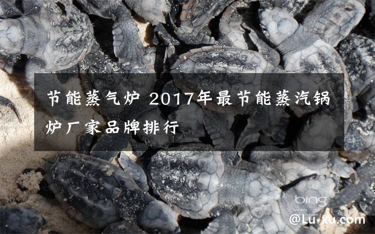 节能蒸气炉 2017年最节能蒸汽锅炉厂家品牌排行