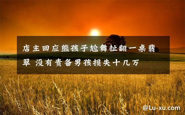 店主回应熊孩子尬舞扯翻一桌翡翠 没有责备男孩损失十几万