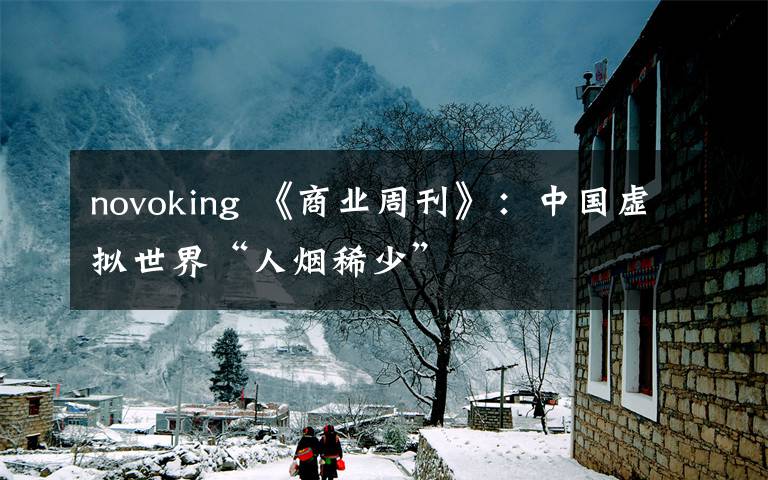 novoking 《商业周刊》:中国虚拟世界“人烟稀少”