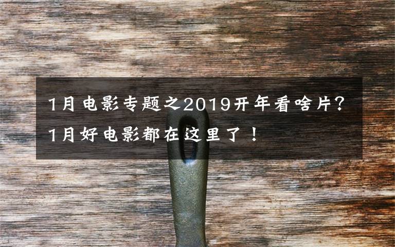 1月电影专题之2019开年看啥片?1月好电影都在这里了!