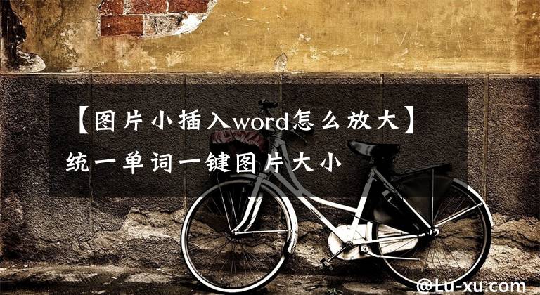 【图片小插入word怎么放大】统一单词一键图片大小