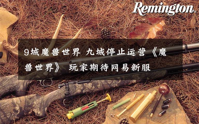 9城魔兽世界 九城停止运营《魔兽世界》 玩家期待网易新服