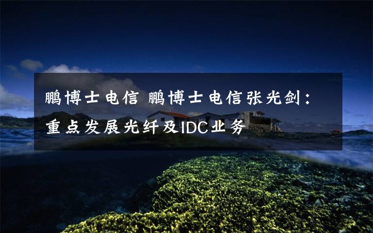 鹏博士电信 鹏博士电信张光剑:重点发展光纤及IDC业务