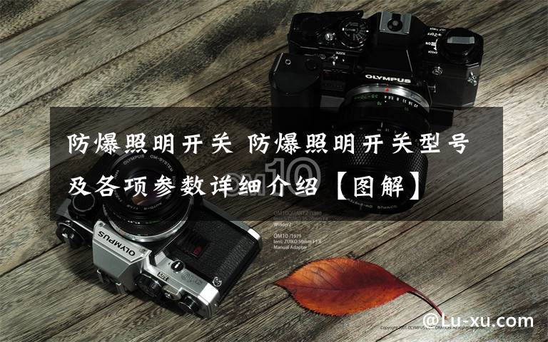 防爆照明开关 防爆照明开关型号及各项参数详细介绍【图解】