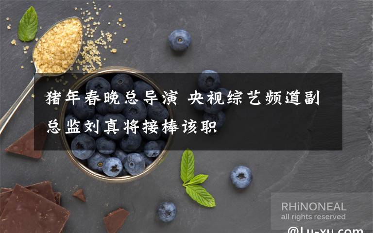 猪年春晚总导演 央视综艺频道副总监刘真将接棒该职