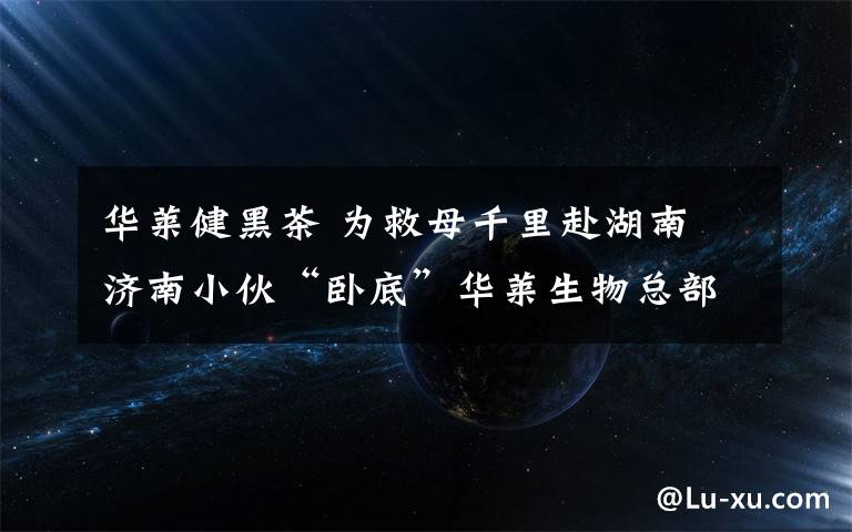 华莱健黑茶 为救母千里赴湖南 济南小伙“卧底”华莱生物总部