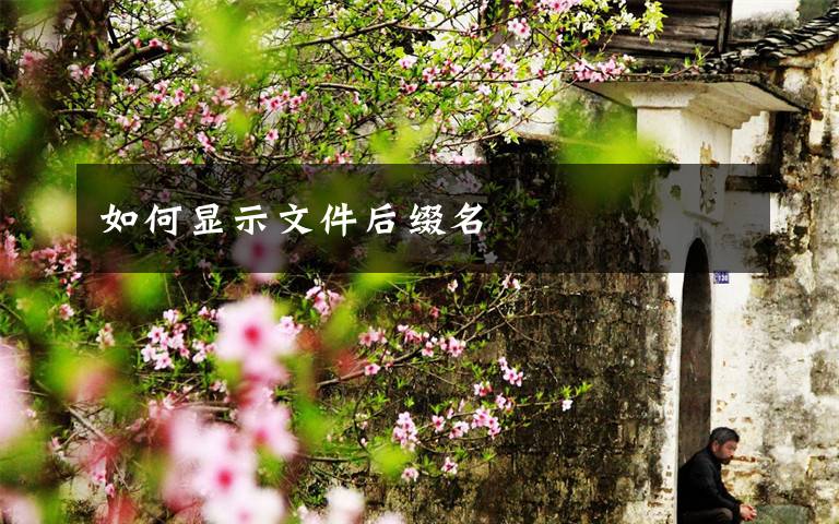 如何显示文件后缀名
