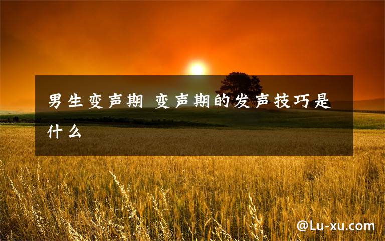男生变声期 变声期的发声技巧是什么