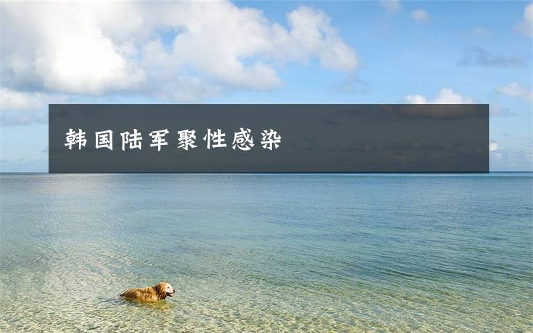 韩国陆军聚性感染