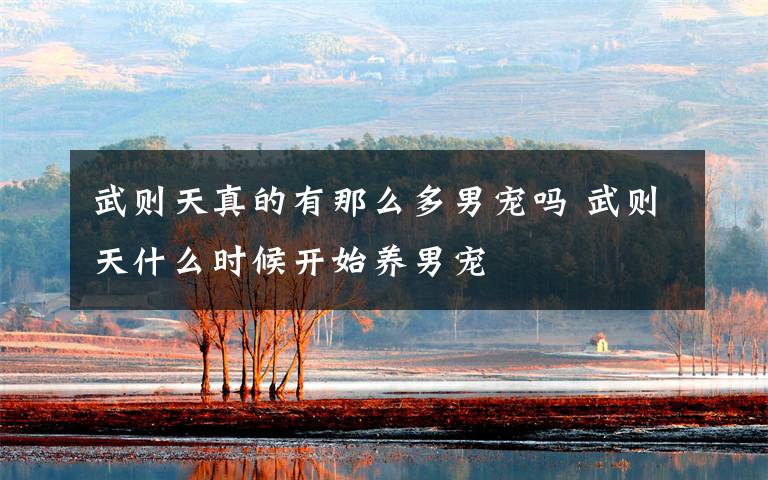 武则天真的有那么多男宠吗 武则天什么时候开始养男宠