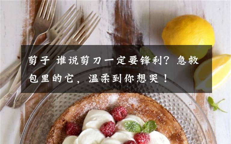 剪子 谁说剪刀一定要锋利?急救包里的它,温柔到你想哭!