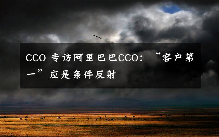 CCO 专访阿里巴巴CCO:“客户第一”应是条件反射