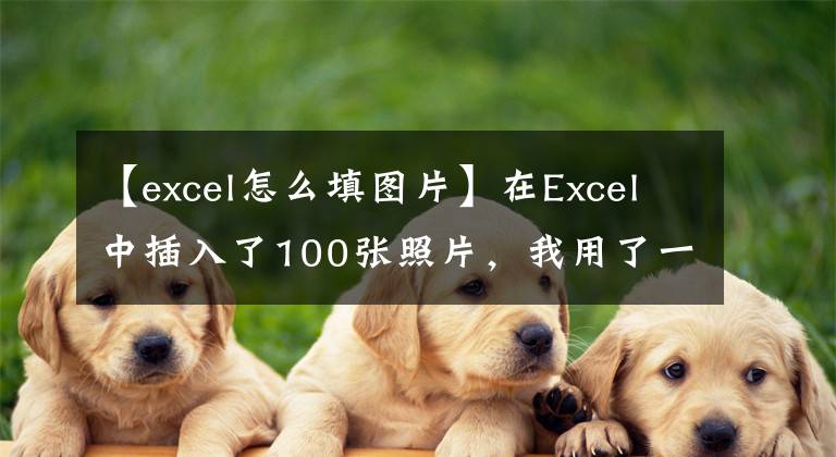 【excel怎么填图片】在Excel中插入了100张照片,我用了一天的时间,同事用了10秒钟就完成了。
